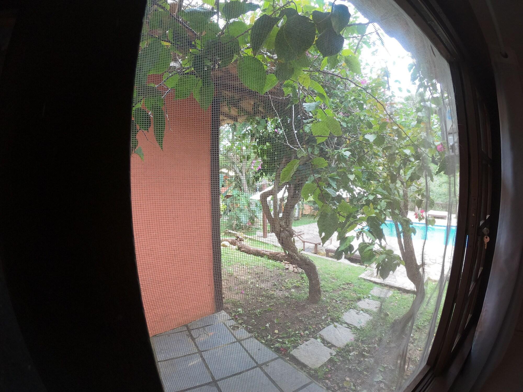 Casa Cactus Da Tartaruga Estalagem Búzios